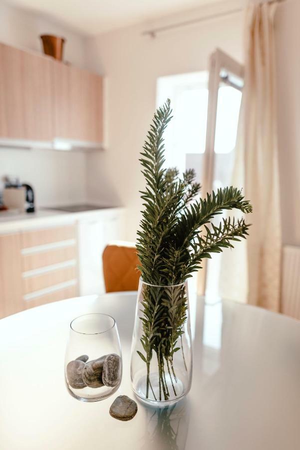 Luxury Apartments Zelny Trh 4 Brno Luaran gambar